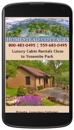 Mobile Site